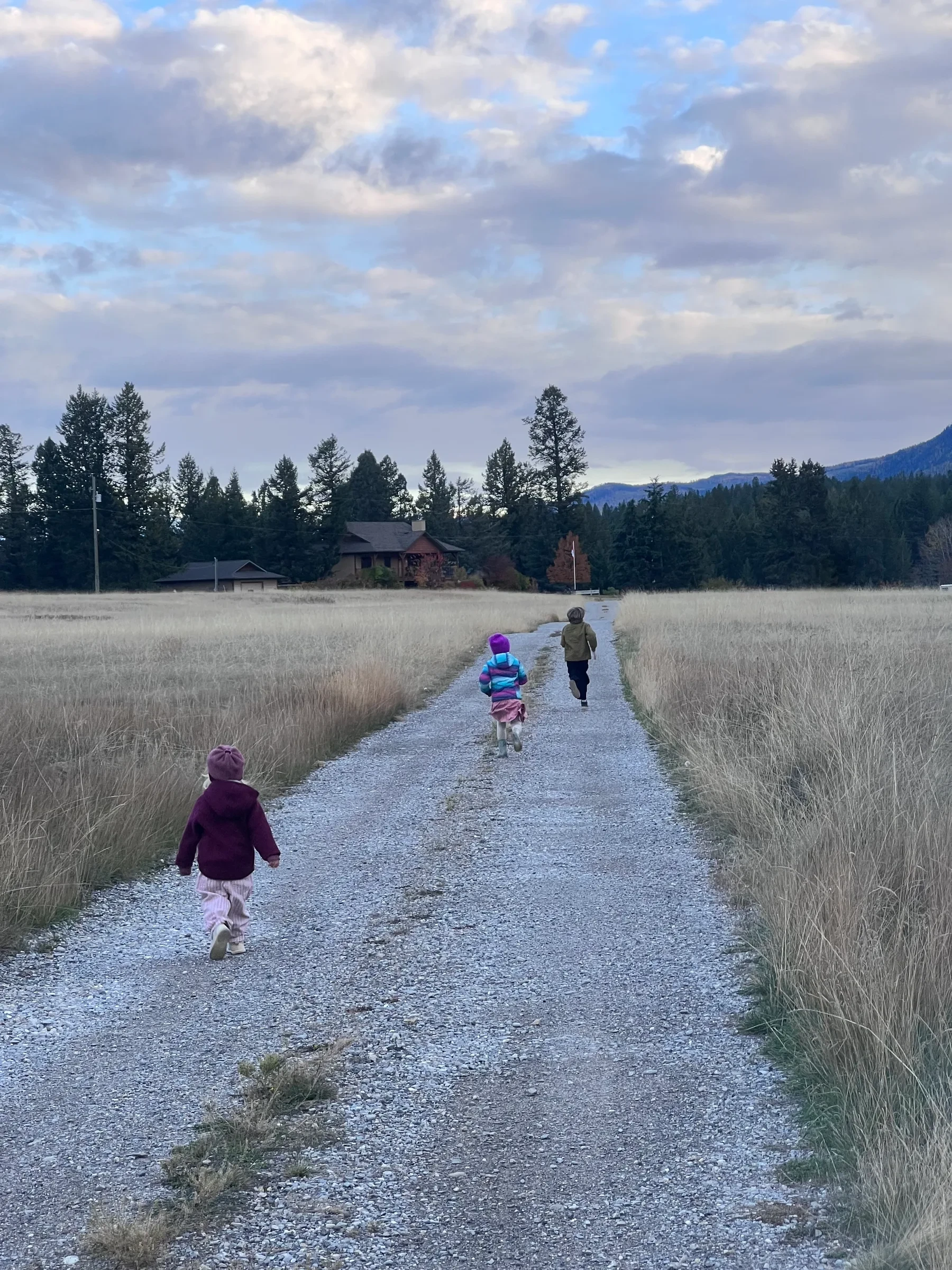 Three children in winter coats and hats running away from the camera down a gravel path through tall dry grass, with trees and houses in the background under a cloudy sky.